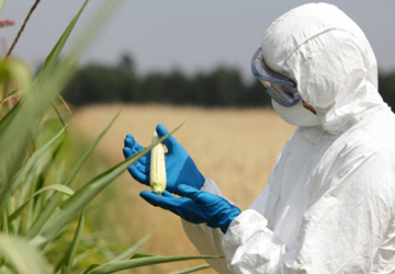Agriculture Engineering
